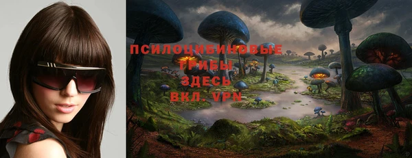 соль курить ск Алзамай