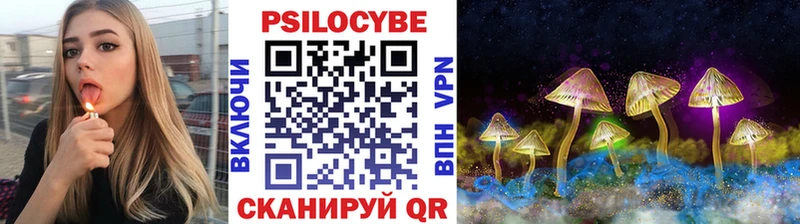 Псилоцибиновые грибы GOLDEN TEACHER  Аркадак 